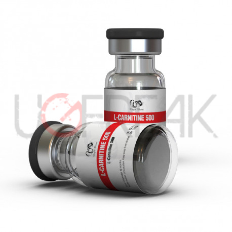 L-Carnitine 500 Dragon Pharma INTL Dragon Pharma International