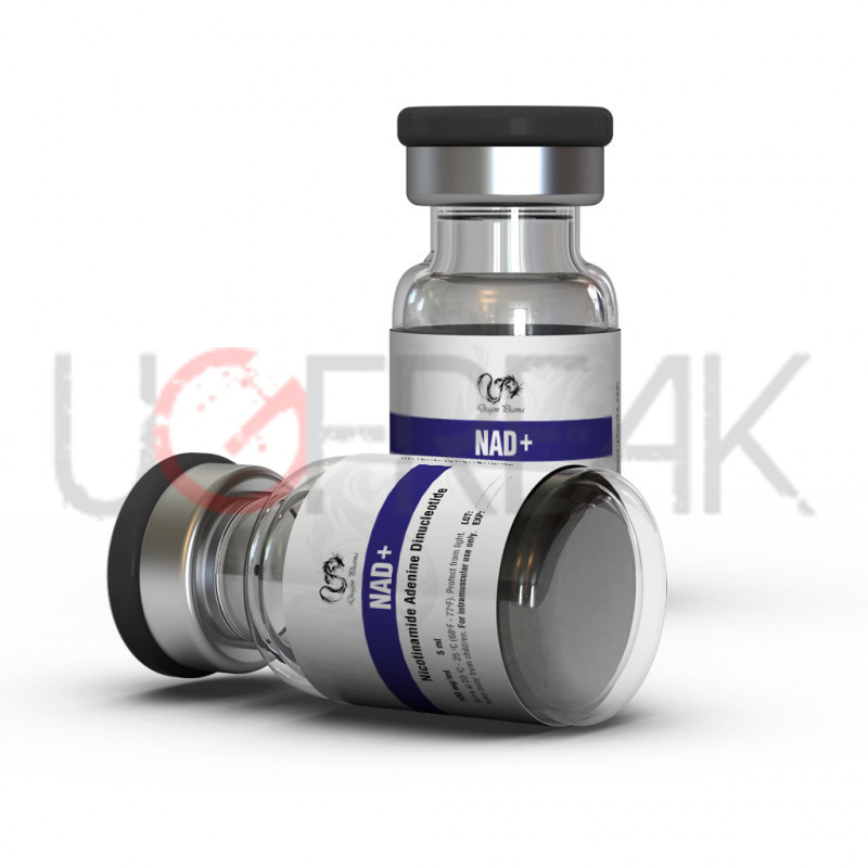 NAD+ Dragon Pharma INTL Dragon Pharma International
